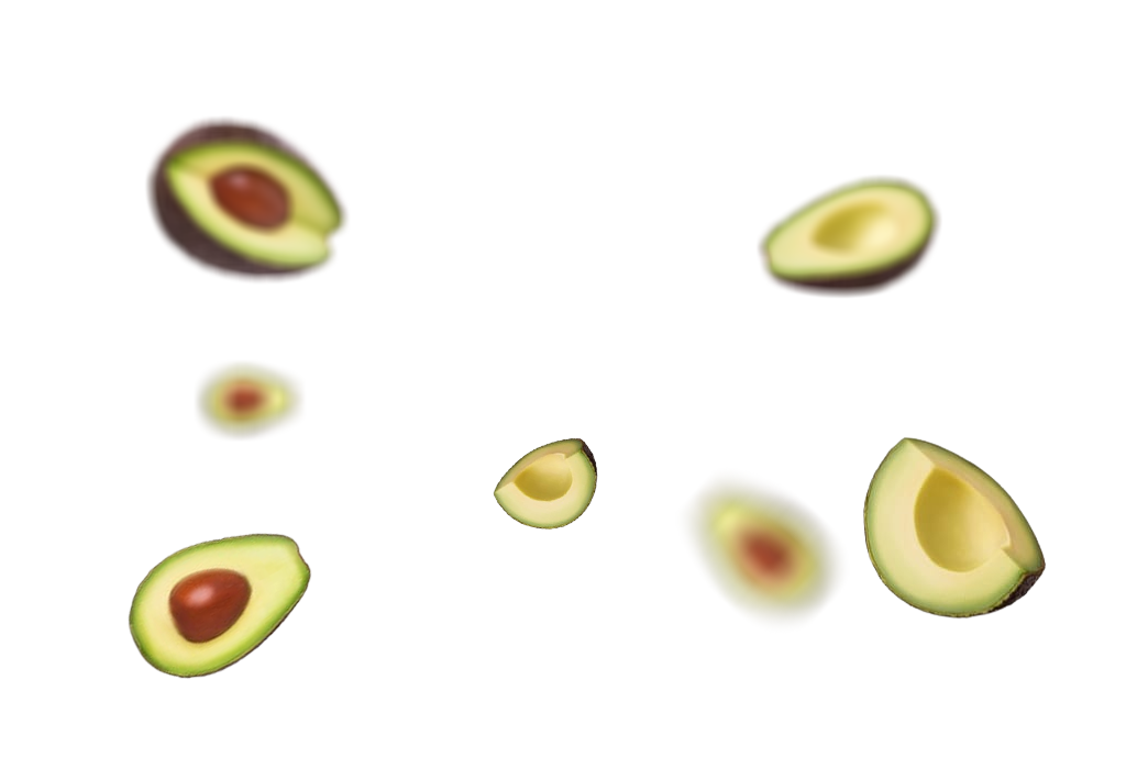 fruit_avocado